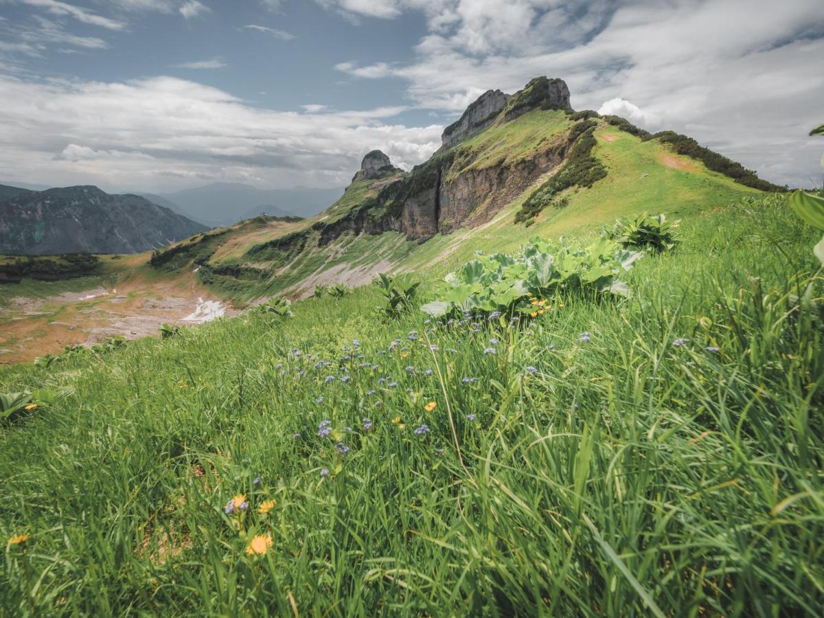 Alpenglueck Tauplitz Daire Dış mekan fotoğraf