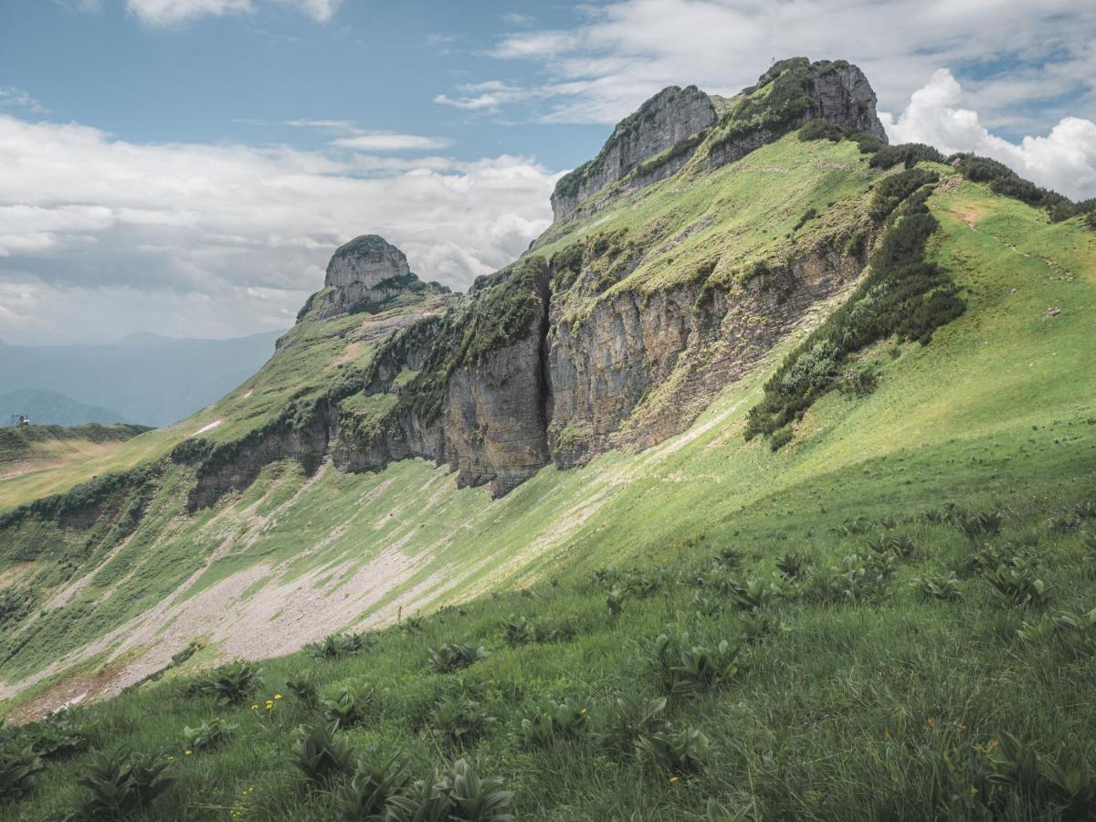 Alpenglueck Tauplitz Daire Dış mekan fotoğraf